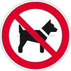 Mitführen von Hunden verboten nach ISO 7010 (P 021)